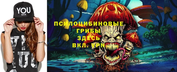 кристаллы Богданович